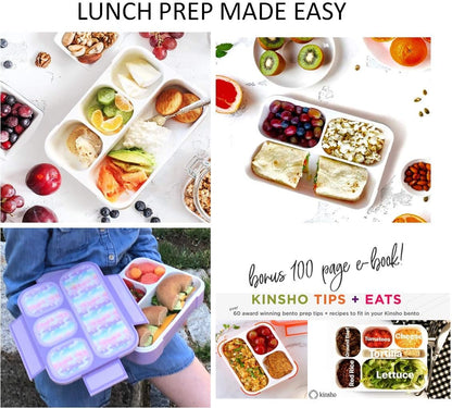 Bento Lunch Box for Kids or Adults, Snack Containers for Boys, Girls, School Daycare Work, 3 Divided Compartments Meal Planning Portion Control, BPA-Free Boxes, Utensils | Blue Purple 2 pack
