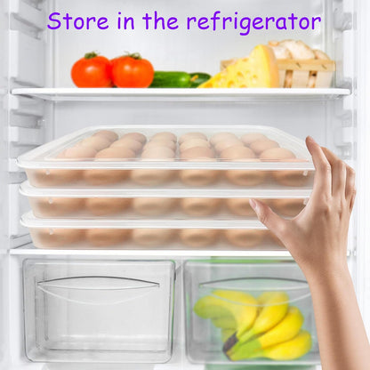 2-Layer Deviled Egg Carrier with Lid,Deviled Egg Trays with Handle,Stack Portable Stackable Trays,Clear Devil Egg Cotainer 48 eggs Holders, for Thanksgiving Day, Easter, Holiday,Parties and Kitchen