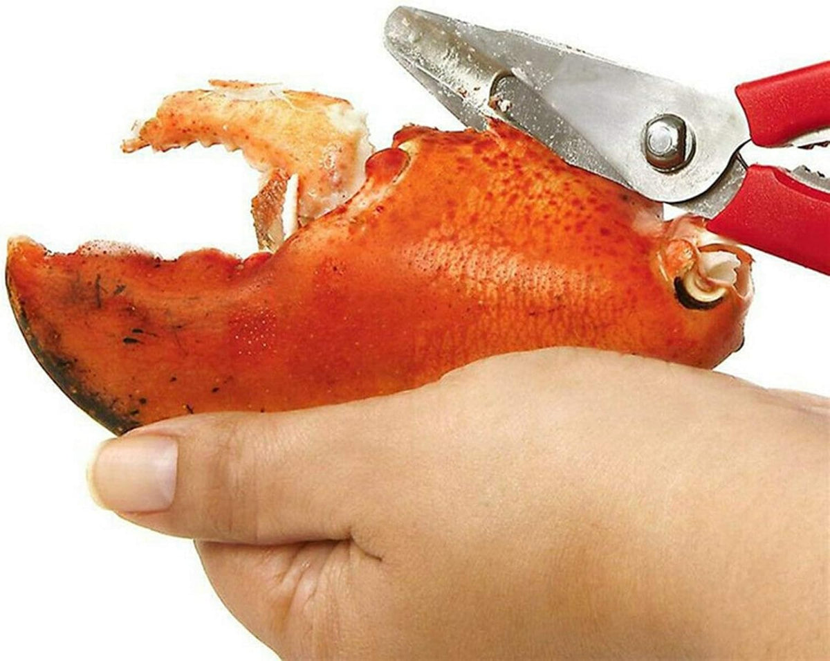 Seafood Scissor Stainless Steel Lobster Crab Shrimp Scissors Detachable Seafood Shears Multifunctional Seafood Cutter Tools for Kitchen Cooking(Red)