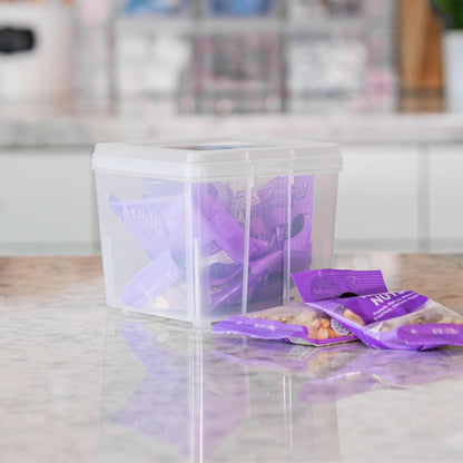IRIS USA Vertical Storage Bins with Lids |Made in USA| Flip Top Containers for Organizing Pantry, Office, Craft, and Study Supplies - Small (10-Pack)