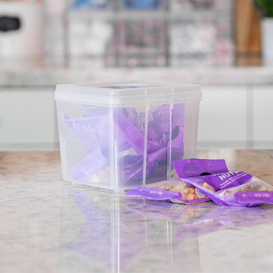 IRIS USA Vertical Storage Bins with Lids |Made in USA| Flip Top Containers for Organizing Pantry, Office, Craft, and Study Supplies - Small (10-Pack)