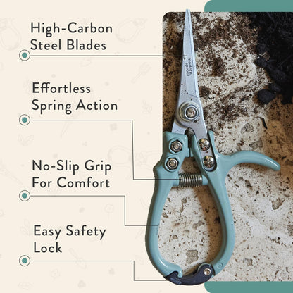 Modern Sprout Pruning Shears - Garden Snips - Herb Scissors - Sage 1-Pack