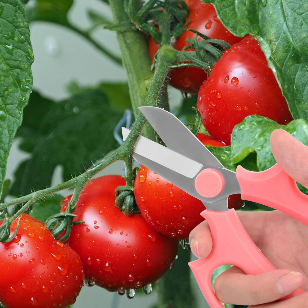 Housolution Flower Scissors, Premium Steel Garden Pruning Shears, Pink