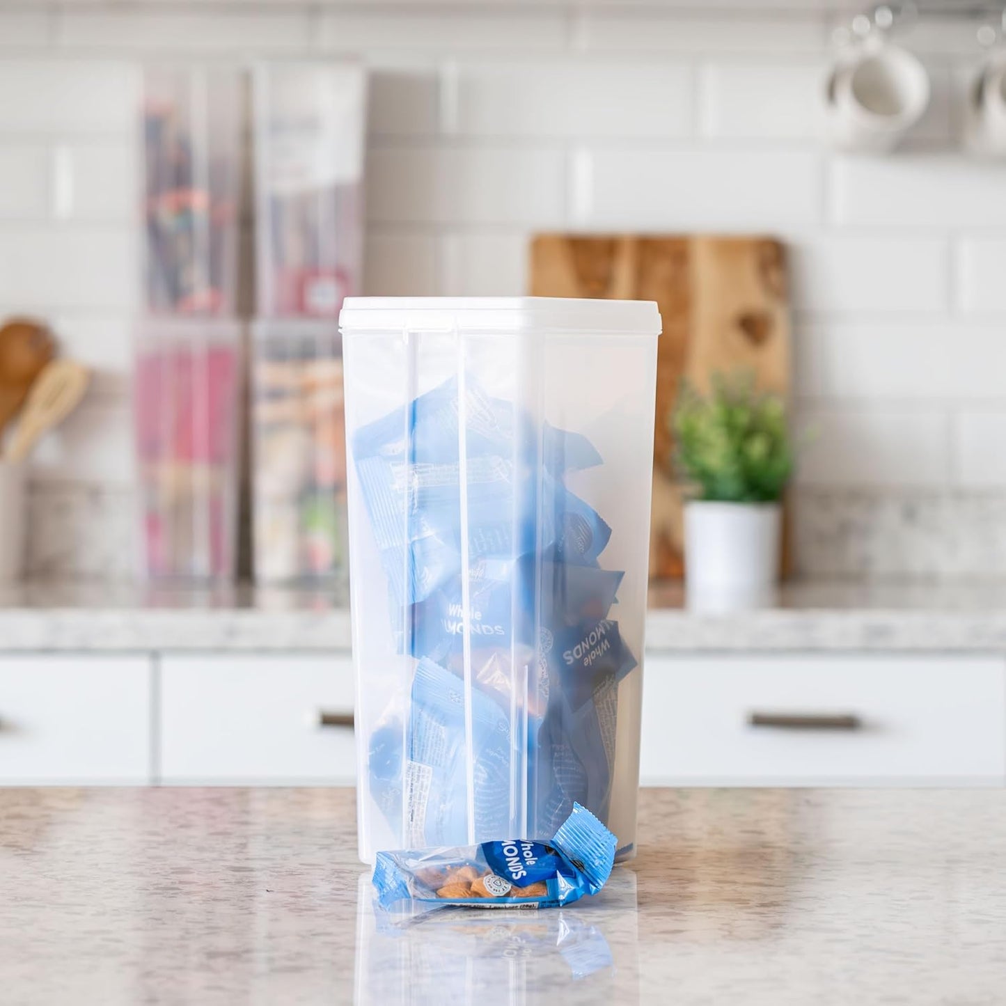 IRIS USA Vertical Storage Bins with Lids |Made in USA| Flip Top Containers for Organizing Pantry, Office, Craft, and Study Supplies - Small (10-Pack)