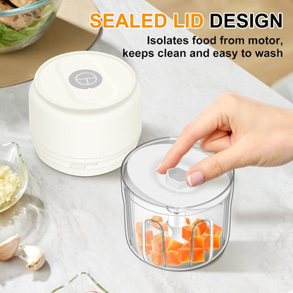 Garlic Chopper, 250ML Garlic Mincer, Electric Mini Food Processor