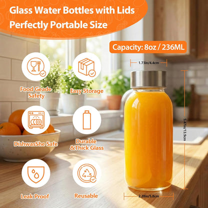 Clear Glass Bottles with Lids 18 oz, Reusable Glass Water Bottles with Stainless Steel Cap for Refrigerator, Juicing, 100% Leak Proof, BPA Free, Juice Bottle Drinking Jar Containers Set of 6