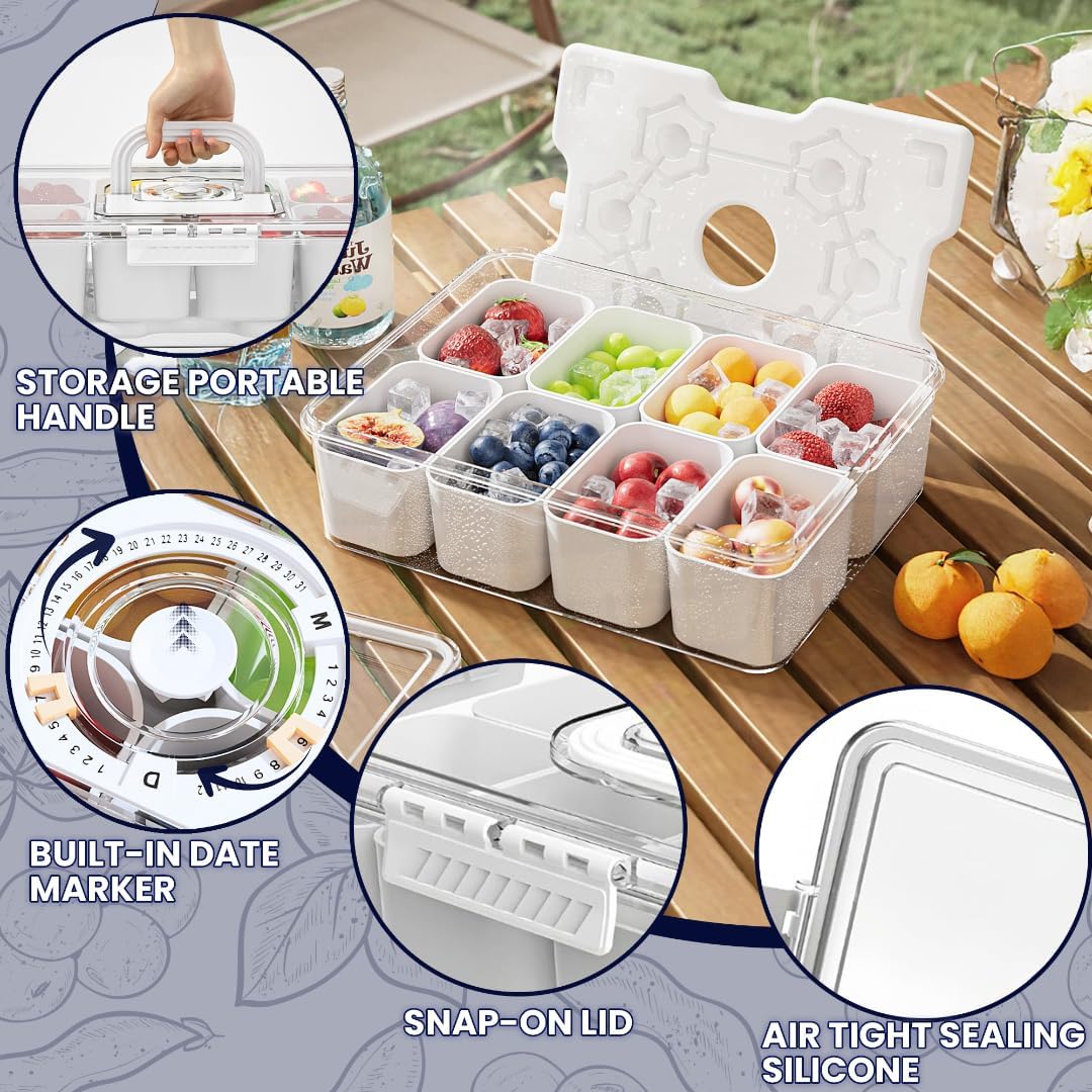 Snackle Box Container with Reusable Ice Pack, 8-Compartment Divided Serving Tray with Lid & Handle, Cooling Charcuterie Snack Box Organizer for Travel, Outdoor Parties, Beach & Picnic