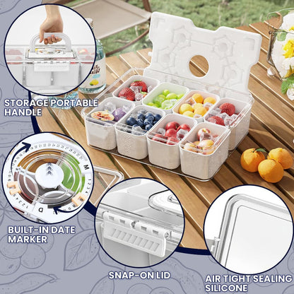 Snackle Box Container with Reusable Ice Pack, 8-Compartment Divided Serving Tray with Lid & Handle, Cooling Charcuterie Snack Box Organizer for Travel, Outdoor Parties, Beach & Picnic