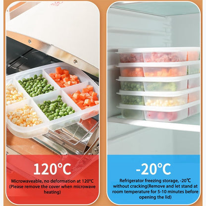 Divided Vegetable Tray with Lid，5 Compartments + 6 Compartments Snack Box - Clear Refrigerator Organizer - Plastic Food Storage Containers for Snacks, Fruits, Vegetables, Salads and Meat（4Pcs