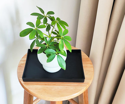 White Serving Tray (13.5 x 9.6 inch) for Serving Accessory, Elegant & Stackable Plastic Tray for Spa, Coffee, Drinks, Tea, Bar, Party, Seasoning, Perfume and Display Use.