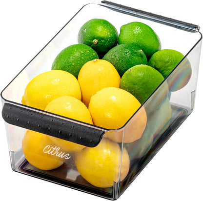 madesmart Fridge Portable Tote, Condiment Caddy with 2 Compartments, Pop-Up Handle & Non-Slip Base, Refrigerator Organizer for Sauces, Jars & Small Items, Clear