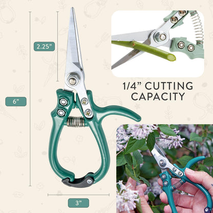 Modern Sprout Pruning Shears - Garden Snips - Herb Scissors - Sage 1-Pack