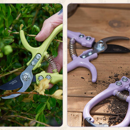 Modern Sprout Bypass Hand Pruners - Scissors - Gardening Tools - Sage