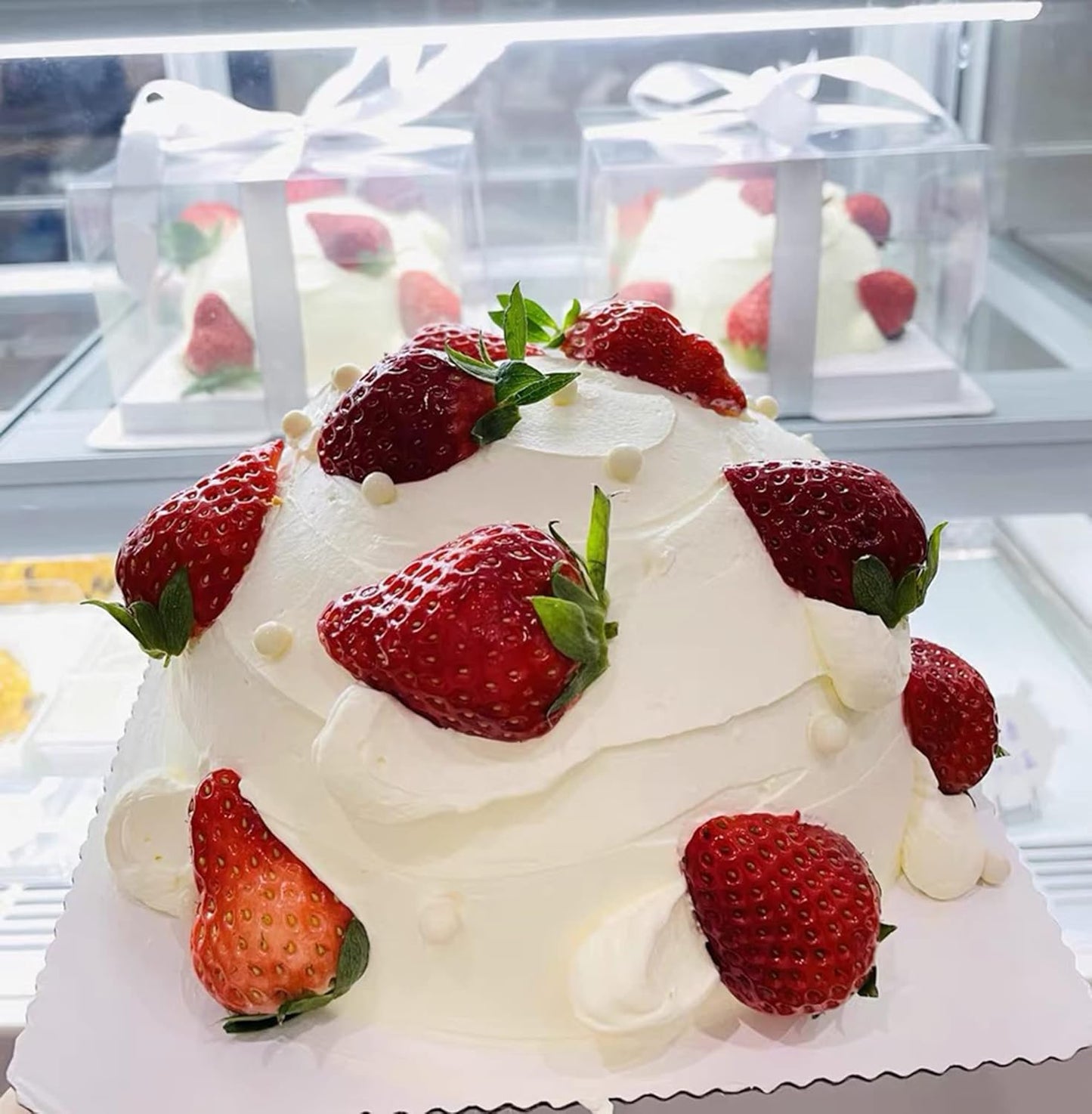 XININSUN 2Pcs Large Cake PET Clear Box, 10" X 10" X 9" with ribbon and pre-folded lid, for 8" cake packing carry, baking cookie display, Carry Tall Layer Gift, Festive Gift Box -White