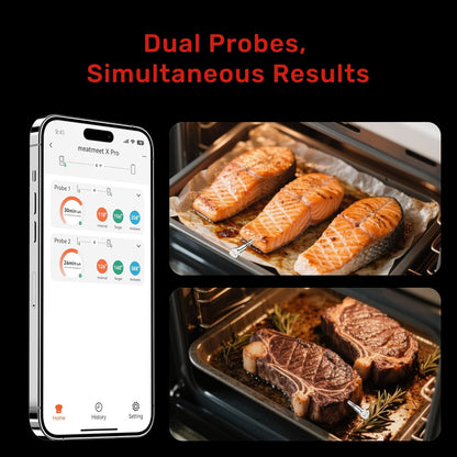 Wireless Meat Thermometer, WiFi & Bluetooth, Smart Base, 2 Probes