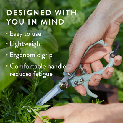 Modern Sprout Pruning Shears - Garden Snips - Herb Scissors - Sage 1-Pack