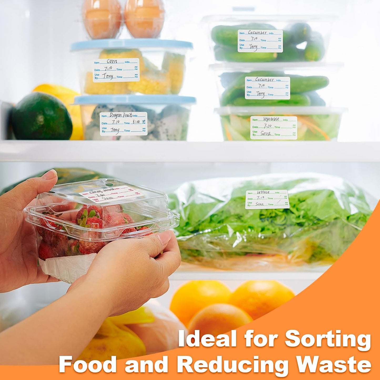 Harloon 3 Rolls 1500 Pcs Dissolvable Food Labels 1 x 2 Inch Removable Food Container Labels Stickers for Container Bottle Kitchen Restaurant Use, 3 Colors