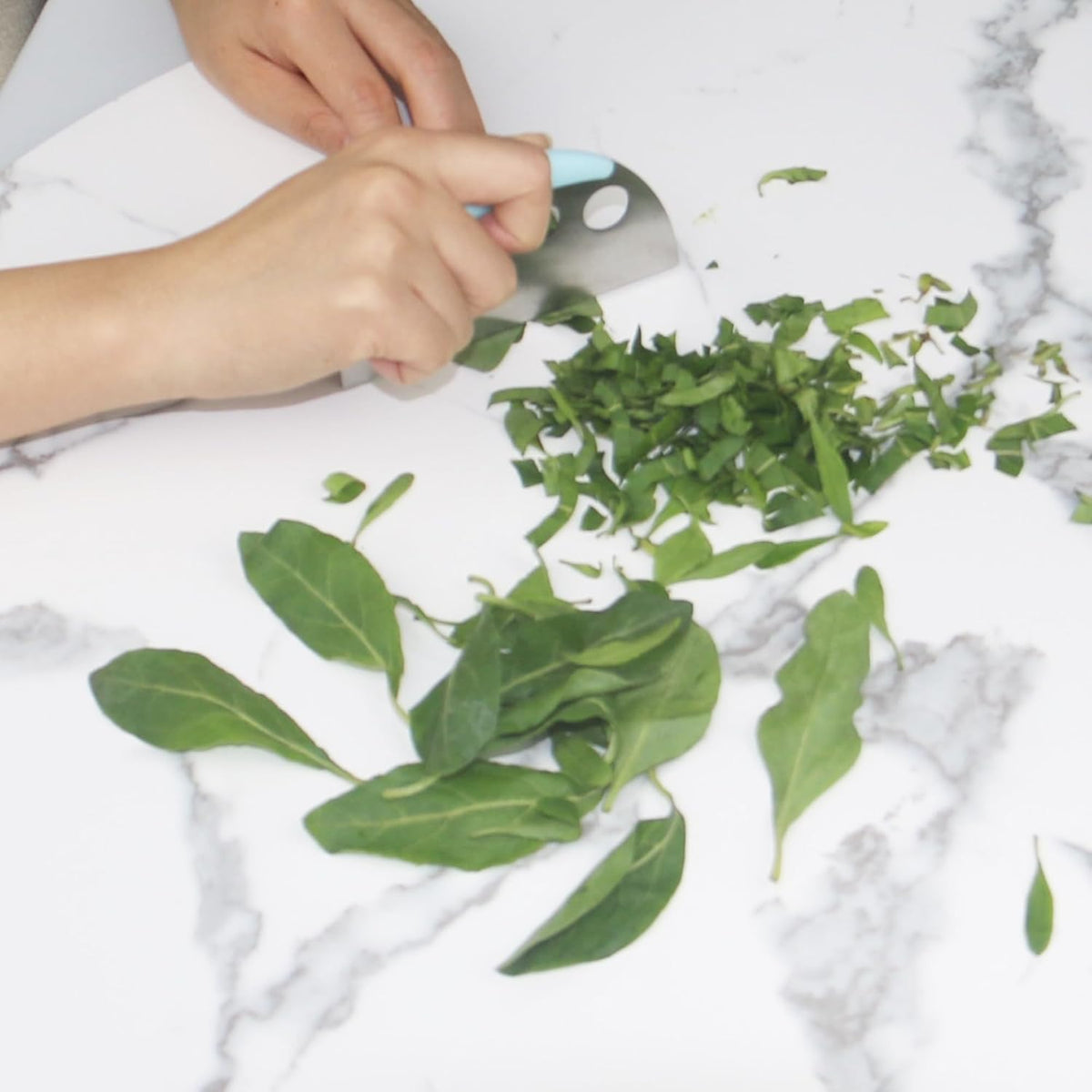 Herb Stripper and Herb Cutter 2 in 1,Herb Stripping Tool Herb Chopper Cilantro Chopper Best Kitchen Gadgets Presents for RV Owners Campers Chefs and Cooking Lovers,1PCS,Green,Stainless Steel,LXLVOUEG