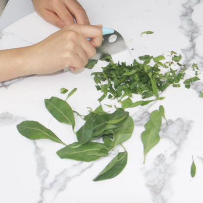 Herb Stripper and Herb Cutter 2 in 1,Herb Stripping Tool Herb Chopper Cilantro Chopper Best Kitchen Gadgets Presents for RV Owners Campers Chefs and Cooking Lovers,1PCS,Green,Stainless Steel,LXLVOUEG