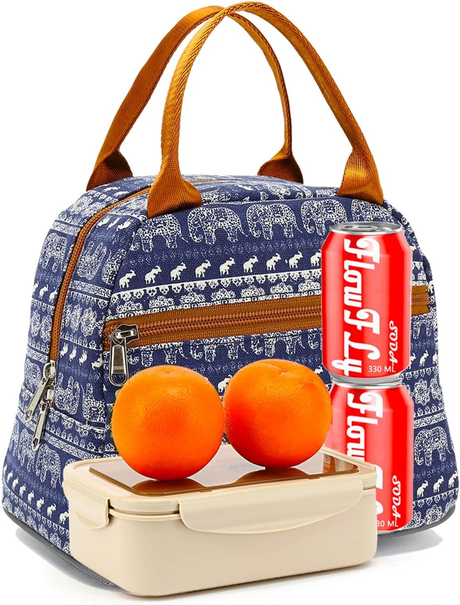 FlowFly Insulated Lunch Cooler Bag - Tote Bag Organizer for Women/Men, Black - Colors B