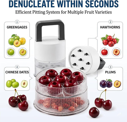 Cherry Pitter 2-Pack, 7-Hole Cherry Corer Tool for Fast Pit Removal