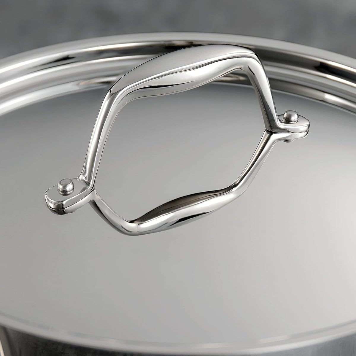 Tramontina Signature Stainless Steel Pasta Strainer Insert for Pot