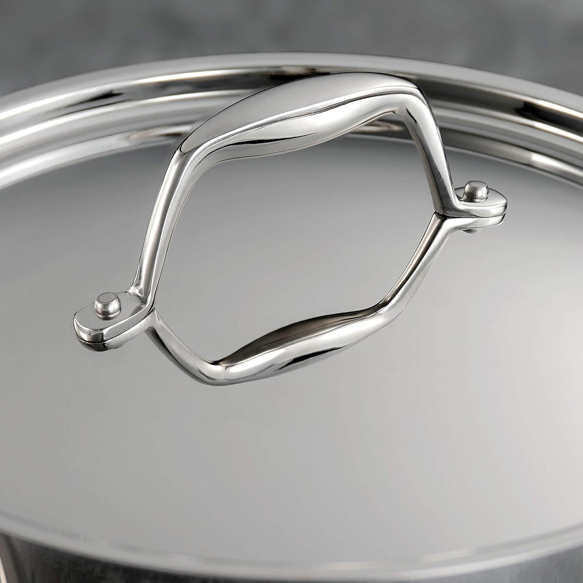 Tramontina Signature Stainless Steel Pasta Strainer Insert for Pot