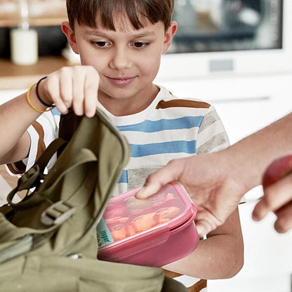 Itopor Classic Wheat Straw Bento Box, Leak-Proof 3-Compartment Lunch Box for Adults & Older Kids, BPA-Free Meal Prep Food Container with Fork, Microwave & Dishwasher Safe, 5.5 Cup, Sage Green