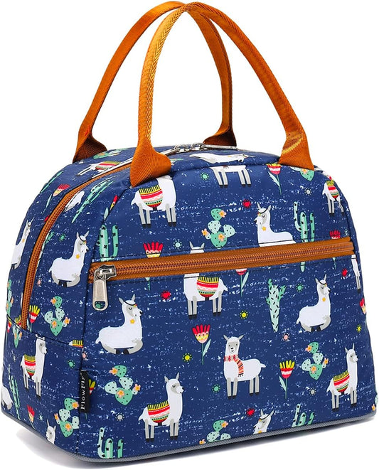 FlowFly Insulated Lunch Cooler Bag - Tote Bag Organizer for Women/Men, Black - Colors A