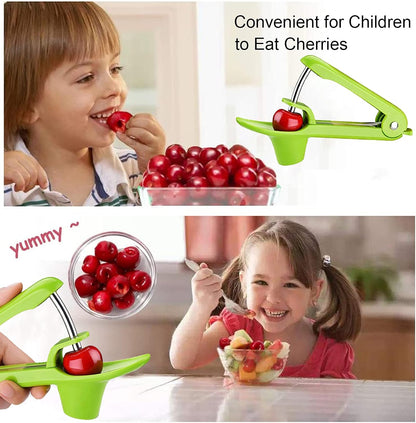 Cherry Pitter Tool,Cherry Pitter Cherry Stone Remover Tool for Making Cherry Jam Cherries Corer Pitter Tool，Cherry Pitter Olive Pitter with Space-Saving Lock Design, Black