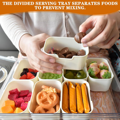 Artcome Sealed Divided Serving Tray with Handle, 8 Compartments, & Carry Bag - Ideal for Organizing and Carrying Snacks and Appetizers - Perfect for Outdoor Dining, Picnics, BBQs, Gatherings & Leisure
