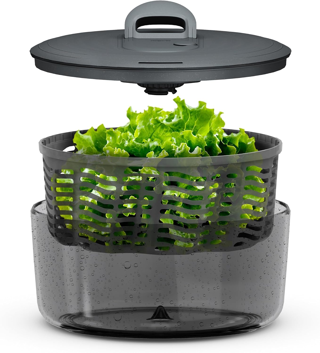Zyliss Swift Dry Salad Spinner - Fruit Cleaner & Lettuce Spinner with Push Pump - Non-Slip Bowl - Dishwasher Safe - Large