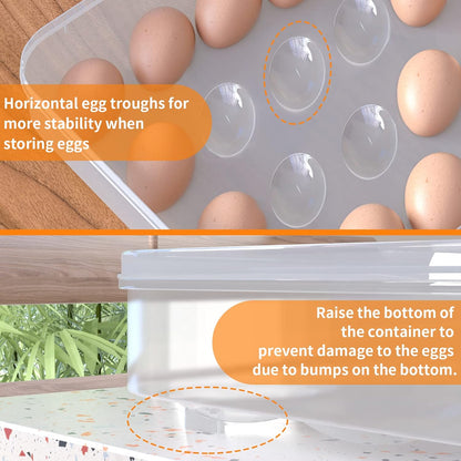77L Deviled Egg Containers with Lid, (Set of 2), Plastic Egg Holder for Refrigerator for 48 Eggs, Clear Storage Deviled Egg Carrier Tray, Fridge Stackable Countertop Portable Egg Dispenser