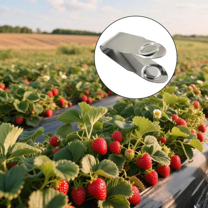 Stainless Steel Strawberry Huller, 2Pcs
