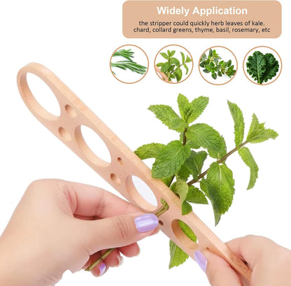 Pasta Measurer Tool with 5 Measurings Holes