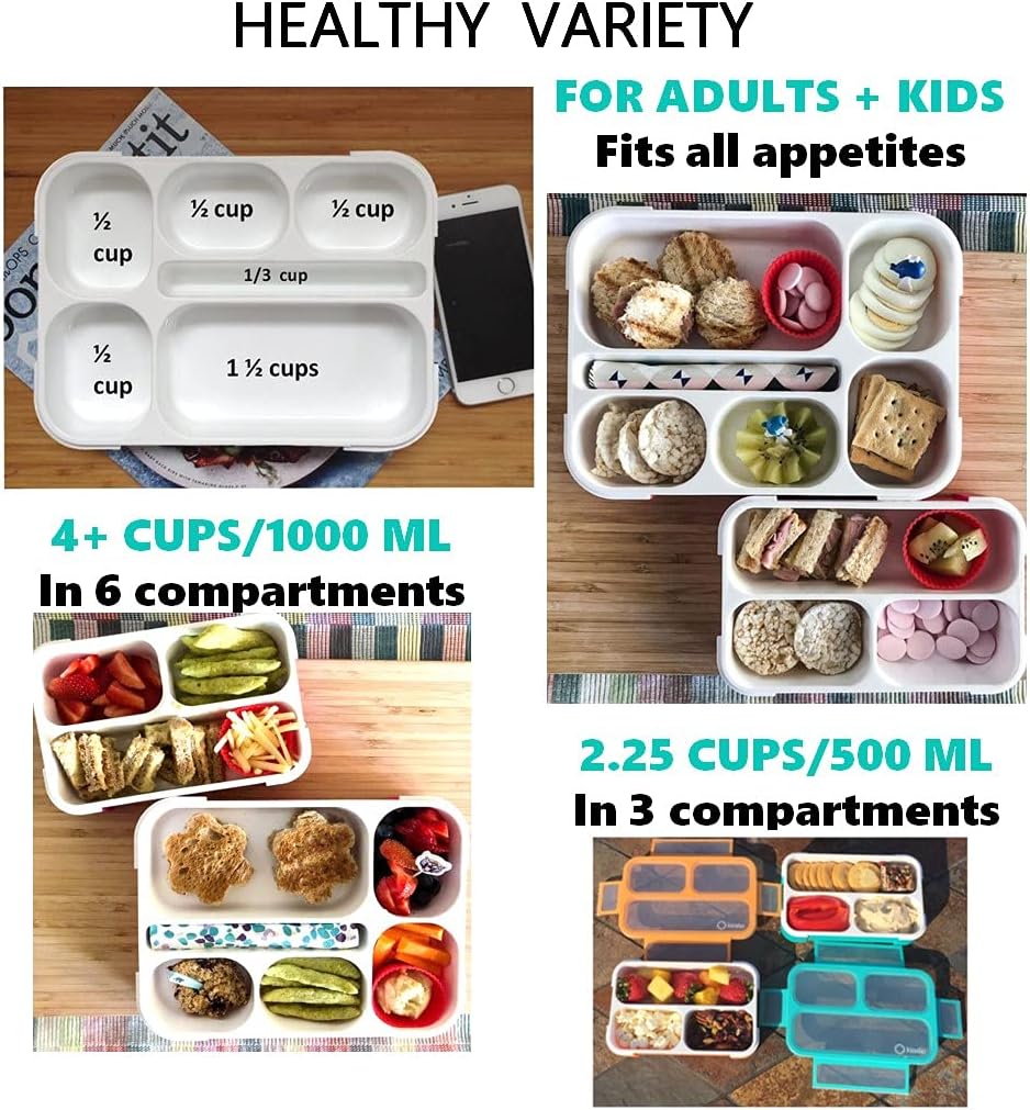 kinsho Bento Lunch-Box Set for Kids includes Snack Container | 6 and 3 Compartment Boxes Leakproof School Bentos, Meal Portion Control Containers, Boys Girls Adults, Navy Blue Large + MINI 2 Pack Set