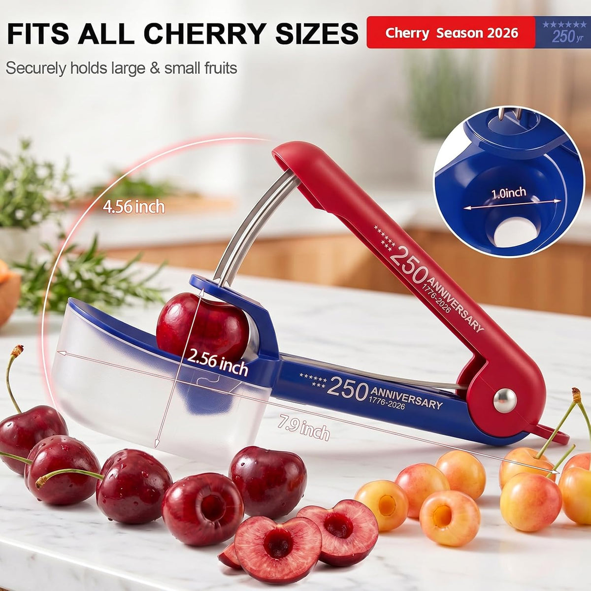 Cherry Pitter - Makmzoon Cherries Pitter Tool