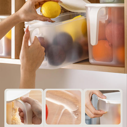 2 Pack Plastic Divided Veggie Storage Containers with Lids and Handles for Fridge Storage Organizer Boxes for Refrigerator Produce Beans Fruits Organzation