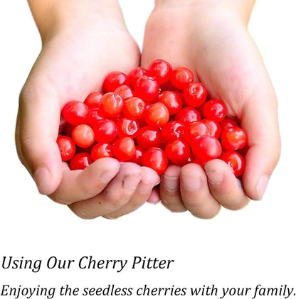 Cherry Pitter, YISSCEN Cherry Olive Seed Remover Tool with Food-Grade Silicone Cup, Heavy-Duty Cherry Stoner/Cherry Core Remover/Oliver Pitter with Space-Saving Lock Design (Black)