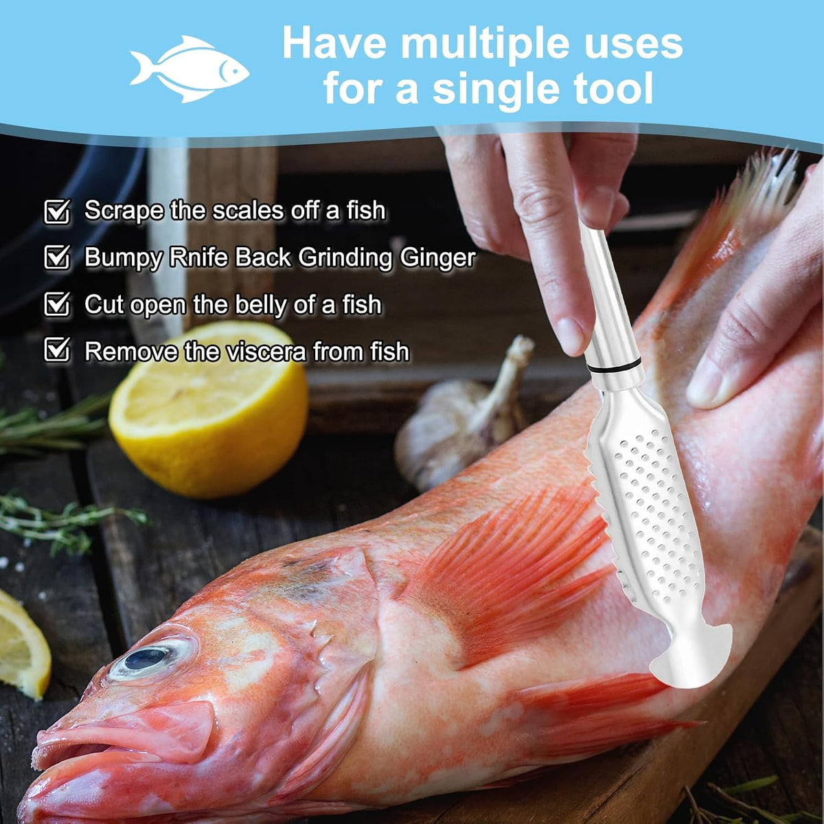Fish Scaler Remover, Fish Scale Cleaning Kit, Portable Stainless Steel Fish Descaler Tool, Easy Clean, Applicable To Restaurants, Kitchens And Markets