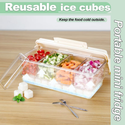 TERGOO Ice Chilled Condiment Caddy with 20 Reusable Ice Cubes, Thickened Condiment Server Tray with Lid for 4 Removable Trays, Portable Snackle Box Container for Bar, Fruit, Salad, Taco, Party Garnish