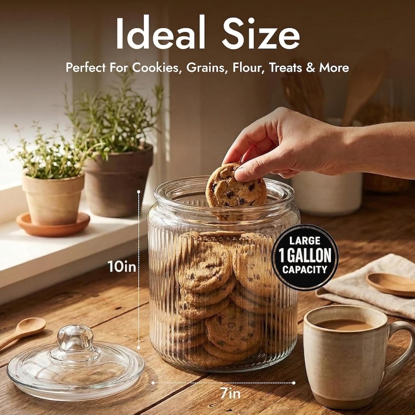 1 Gallon Glass Cookie Jar with Lid – Glass Jar with Lid - Airtight Food Storage Container for Cookies, Candy, Flour, Dog Treats – Clear Large Kitchen Jar for Pantry - Glass Containers with Lids