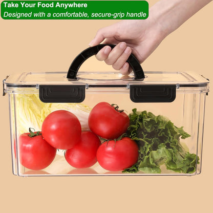 Taiuloo Divided Serving Tray with Airtight Lid and Handle, 9 Compartment Snackle Box Container, Portable Snack Platters, Clear Fridge Organizer & Food Storage for Veggie, Fruit, Charcuterie, Nuts