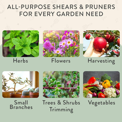 Modern Sprout Hand Pruners+Shears Set w/Blister - Gardening Tools - Sage