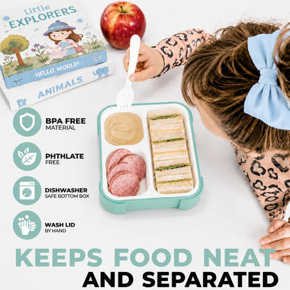 kinsho Medium Bento Boxes for Kids, Lunch Box for Boys Girls Toddler Adults, Leak-Proof 3 Compartment Containers for Meal or Snack at School Daycare Work Travel, BPA Free 2 Pack (Pastel Blue + Pink)