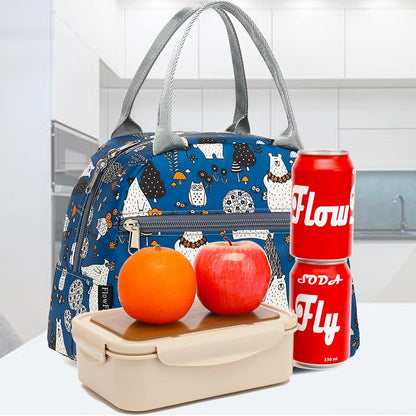 FlowFly Insulated Lunch Cooler Bag - Tote Bag Organizer for Women/Men, Black - Colors B