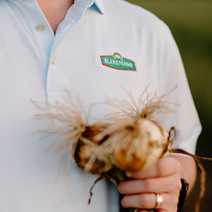 Vidalia Brands Microwave Onion Cooker | Bland Farms