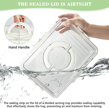 Artcome Sealed Divided Serving Tray with Handle, 8 Compartments, & Carry Bag - Ideal for Organizing and Carrying Snacks and Appetizers - Perfect for Outdoor Dining, Picnics, BBQs, Gatherings & Leisure
