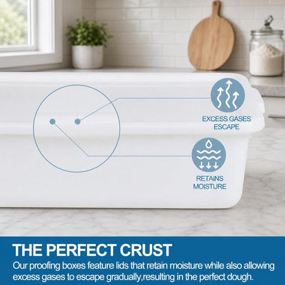 3-Pack 13 L Pizza Dough Proofing Box with Lid, White