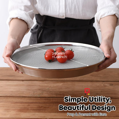 WAGENSTEIGER Stainless Steel Mesh Tray Set with Drip Pan, Air Fryer Basket and Tray, Kitchen Colander, Vegetable and Fruit Strainer, Food Filter, BBQ Prep Tool, Fruit Serving Dishes (9.84 inch)